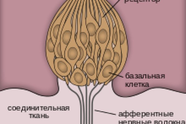 Пользователь не найден кракен что делать